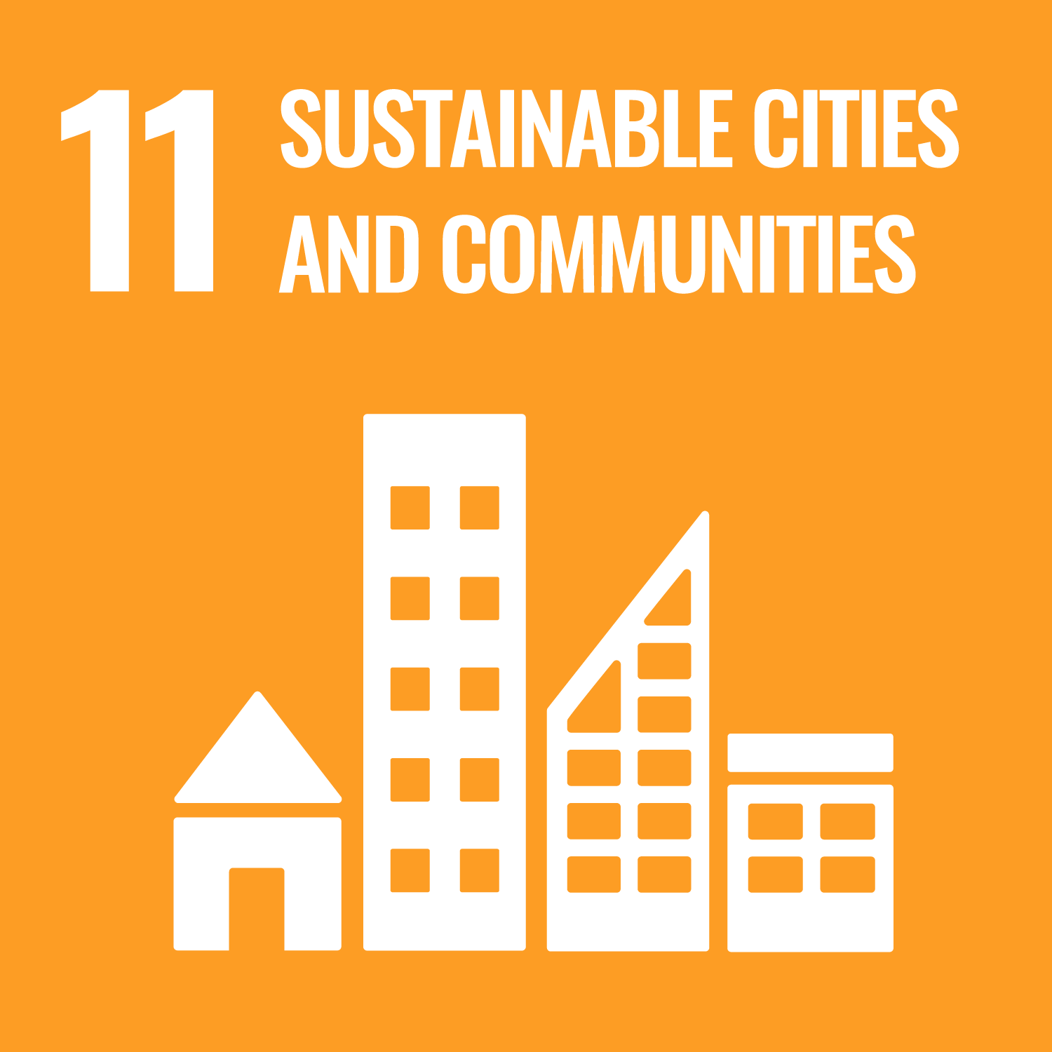 #11 Sustainable Cities and Communities