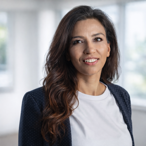 Sepideh (Sepi) Jahandideh