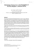 Developing a protocol for in vitro propagation of the grey mangrove – Avicennia marina