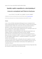 Spatially explicit competition in a mixed planting of Araucaria cunninghamii and Flindersia brayleyana