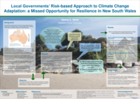 Local governments’ risk-based approach to climate change adaptation: a missed opportunity for resilience in New South Wales