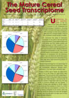 The mature cereal seed transcriptome