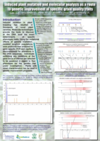 Induced plant mutation and molecular analysis as a route to genetic improvement of specific grain quality traits