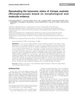 Reevaluating the taxonomic status of Ceriops australis (Rhizophoraceae) based on morphological and molecular evidence