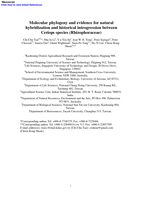 Molecular phylogeny and evidence for natural hybridization and historical introgression between Ceriops species (Rhizophoraceae)