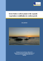 Lower lakes carbon project: the aquatic vegetation contribution to carbon pools