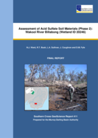 Assessment of acid sulfate soil materials (phase 2): Wakool River Billabong (Wetland ID 20246)