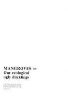 Mangroves - our ecological ugly ducklings