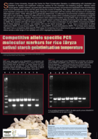 Competitive allele specific PCR molecular markers for rice [Oryza sativa] starch gelatinisation temperature
