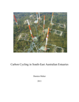 Carbon cycling in South-East Australian estuaries