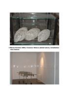 Forensic silence, installation