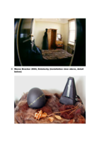 Entelechy, installation
