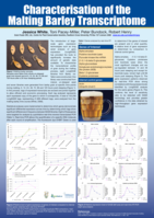 Characterisation of the malting barley transcriptome