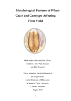 Morphological features of wheat grain and genotype affecting flour yield
