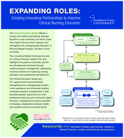 Expanding roles: creating innovative partnerships to improve clinical nursing education (Clinical education in action)