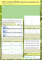 CEL I and the EMAIL mutation scanning assay