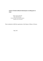 Analysis of betaine aldehyde dehydrogenase encoding genes in wheat