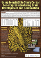 Using longSAGE to study cereal gene expression during grain development and germination