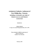 Actiniaria (Cnidaria Anthozoa) of Port Phillip Bay, Victoria : including a taxonomic case study of <em>Oulactis muscosa</em> and <em>Oulactis mcmurrichi</em>