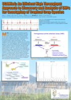 SCAMing: an efficient high throughput approach to discovery and analysis of Snps for genotyping of tropical crop species