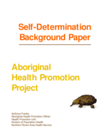 Aboriginal Health Promotion Self Determination Project: background paper