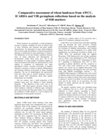Comparative assessment of wheat landraces from AWCC, ICARDA and VIR germplasm collections based on the analysis of SSR markers