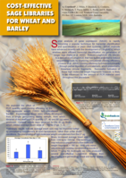 Cost effective SAGE libraries for wheat and barley