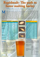 Rapid malt - the path to faster malting barley
