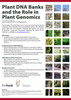 Plant DNA banks and the role in plant genomics
