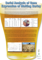 Serial analysis of gene expression of malting barley