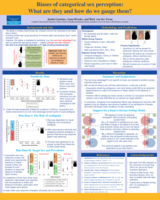 Biases of categorical sex perception: what are they and how do we gauge them?