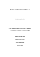 Phosphorus remobilization during grain filling in rice