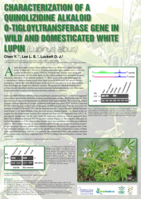 Characterization of a quinolizidine alkaloid O-tigloyltransferase gene in wild and domestic white lupin (L. albus)