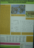 Population panmixia in a spotted gum species complex (Mytaceae): Implications for association mapping