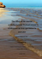 The effect of the marine cyanobacterium (Trichodesmium erythraeum) on iron speciation in seawater