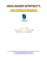 Financial management and profitability of small and medium enterprises