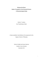 Giving up the ghost. Healers' perceptions of the perimortal process : a phenomenological study