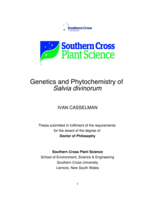 Genetics and phytochemistry of Salvia divinorum
