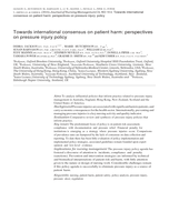 Towards international consensus on patient harm: perspectives on pressure injury policy