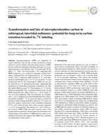 Transformation and fate of microphytobenthos carbon in subtropical, intertidal sediments: potential for long-term carbon retention revealed by 13C-labeling