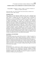 Understanding gene expression in the developing grain