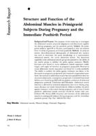 Structure and function of the abdominal muscles in primigravida during pregnancy and the immediate post-birth period