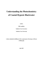 Understanding the photochemistry of coastal hypoxic blackwater