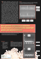 Rice genome sequence accelerates the discovery of commercially important genes and polymorphisms