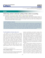Addressing calcium carbonate cycling in blue carbon accounting