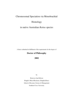 Chromosomal speciation via monobrachial homology in native Australian Rattus species