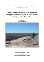 Causes and consequences of a massive mangrove dieback event in the Gulf of Carpentaria, Australia