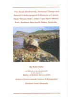 Fine scale biodiversity, seasonal change and natural and anthropogenic influences at Lennox Head 'Bream Hole', within Cape Byron Marine Park, Northern New South Wales, Australia