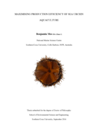 Maximising production efficiency in sea urchin aquaculture