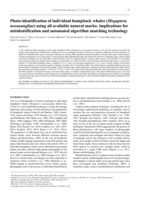 Photo-identification of individual humpback whales (Megaptera novaeangliae) using all available natural marks: implications for misidentification and automated algorithm matching technology